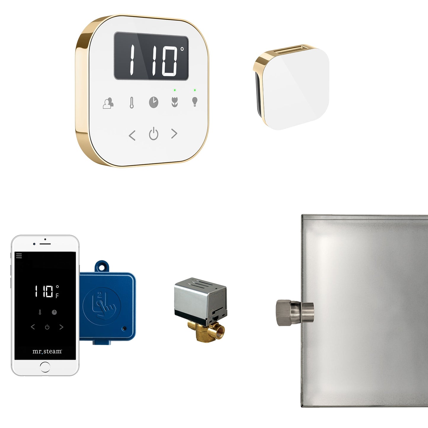 Mr. Steam AirButler Steam Shower Control Package with AirTempo