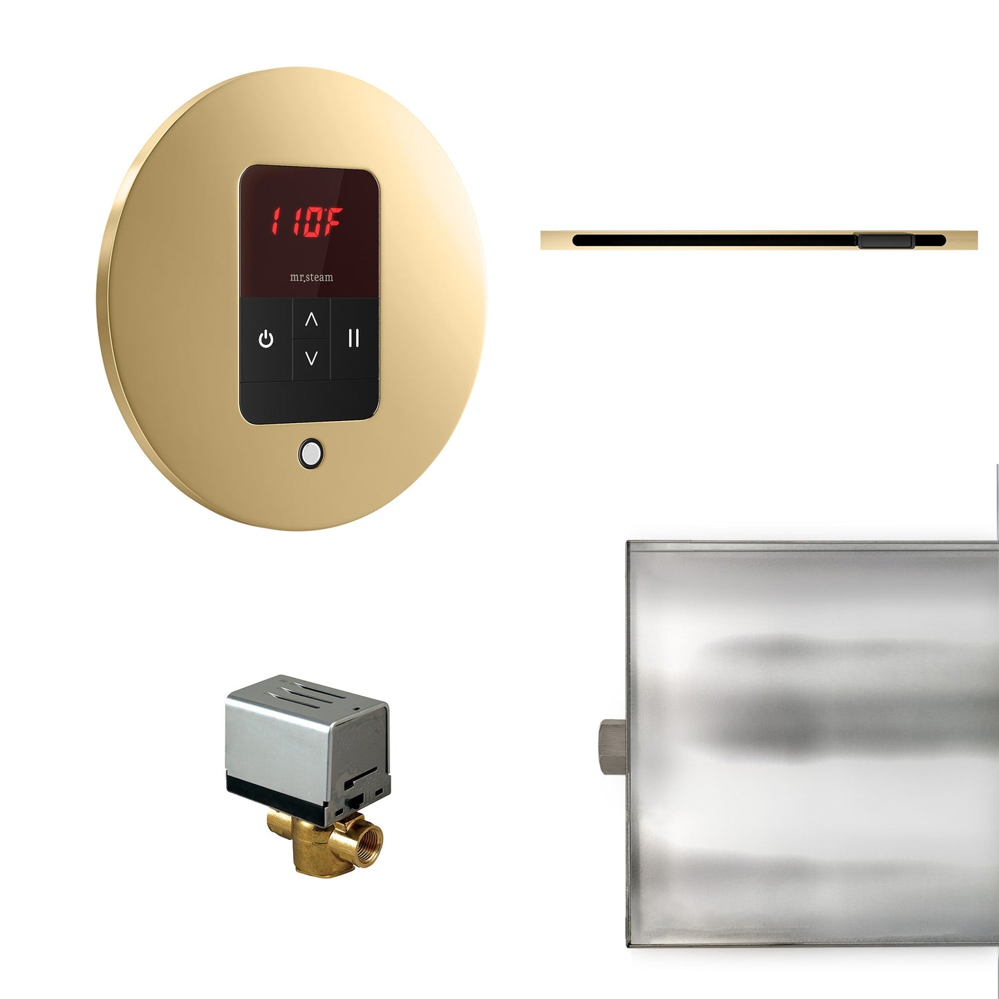 Mr. Steam Basic Butler Steam Shower Control Package with iTempo