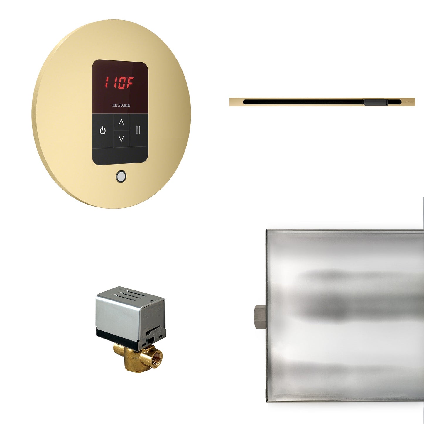 Mr. Steam Basic Butler Steam Shower Control Package with iTempo