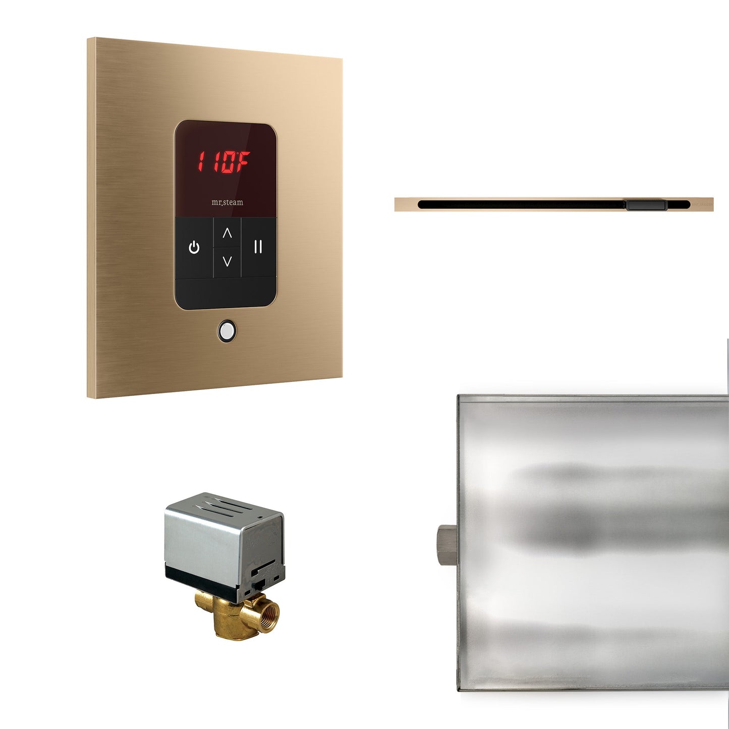Mr. Steam Basic Butler Steam Shower Control Package with iTempo