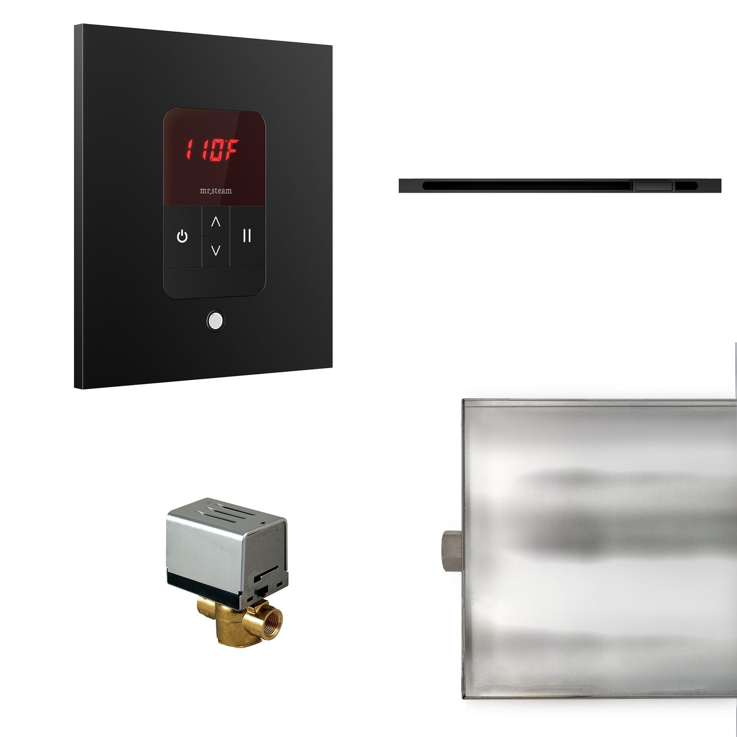Mr. Steam Basic Butler Steam Shower Control Package with iTempo
