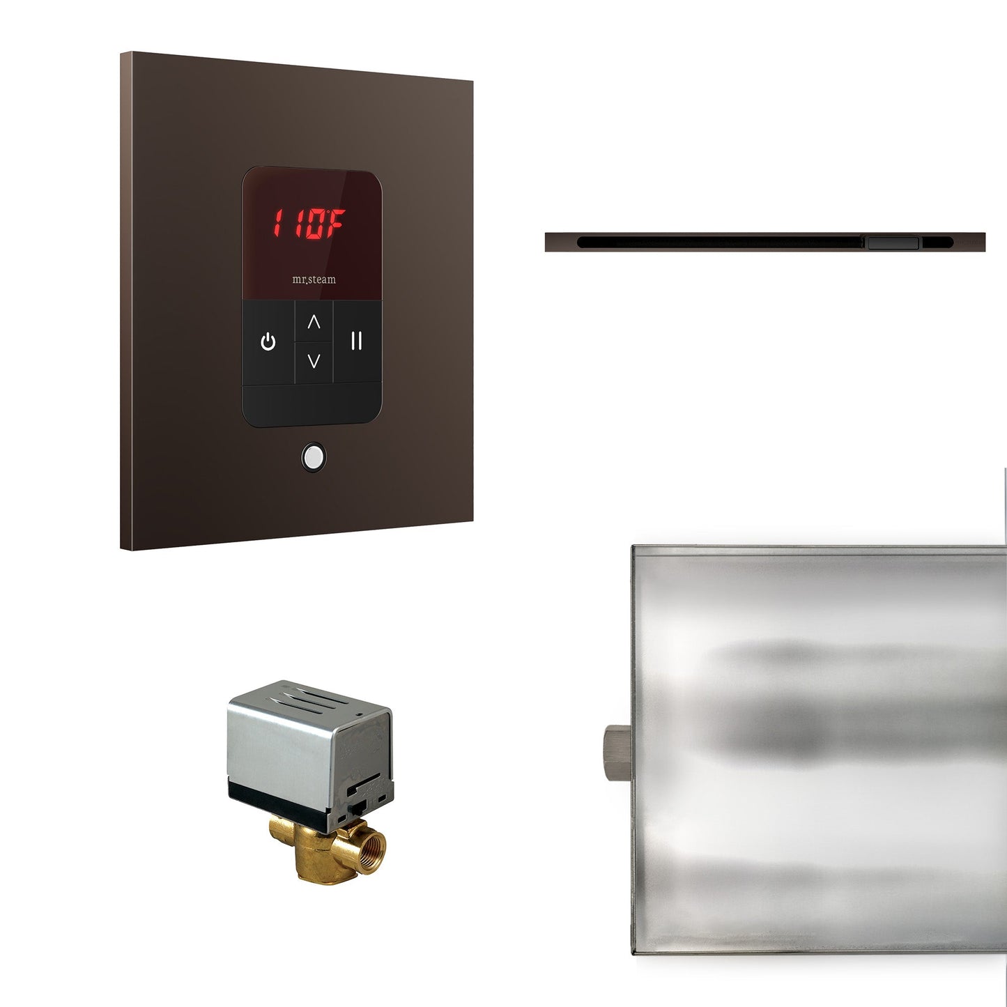 Mr. Steam Basic Butler Steam Shower Control Package with iTempo