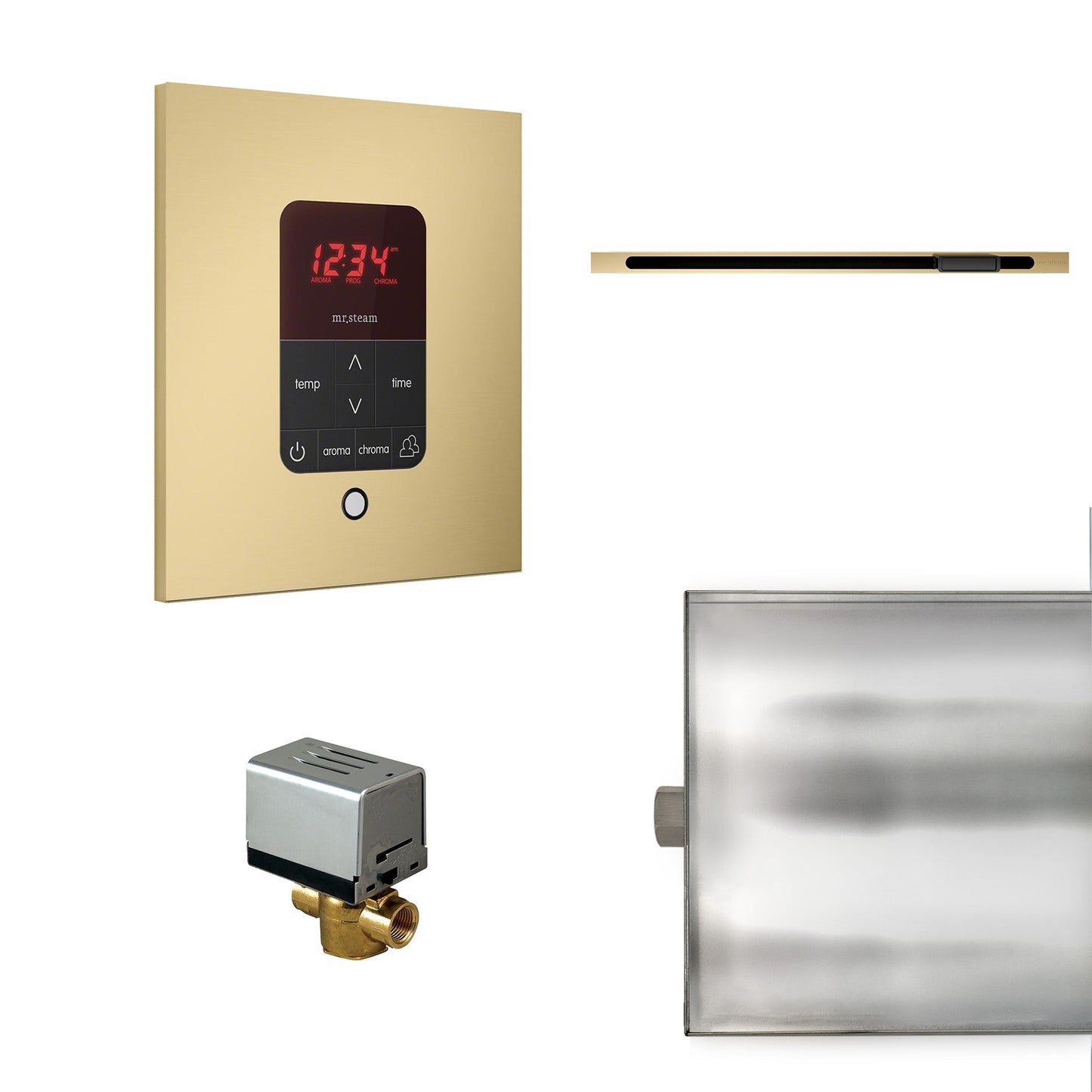 Mr. Steam Basic Butler Steam Shower Control Package with iTempo
