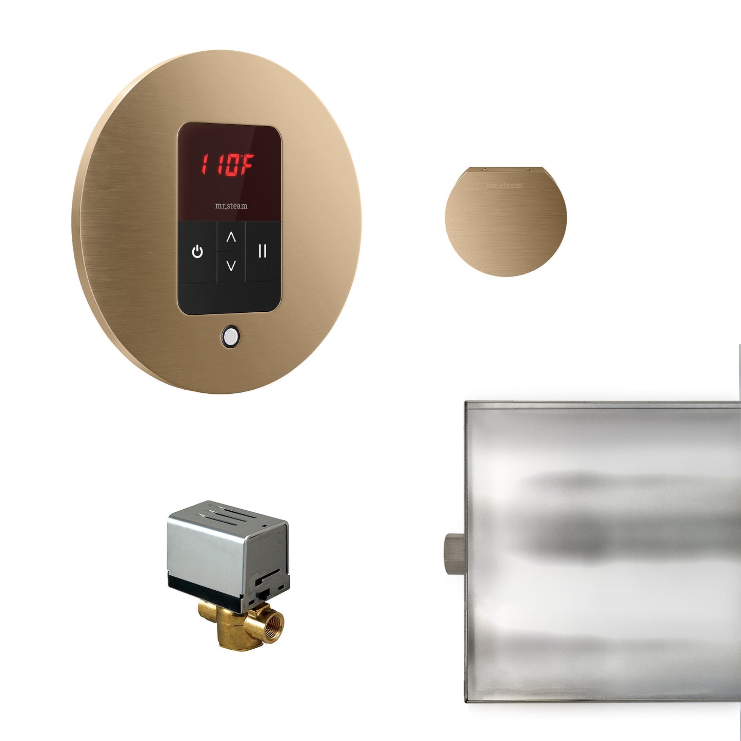 Mr. Steam Basic Butler Steam Shower Control Package with iTempo
