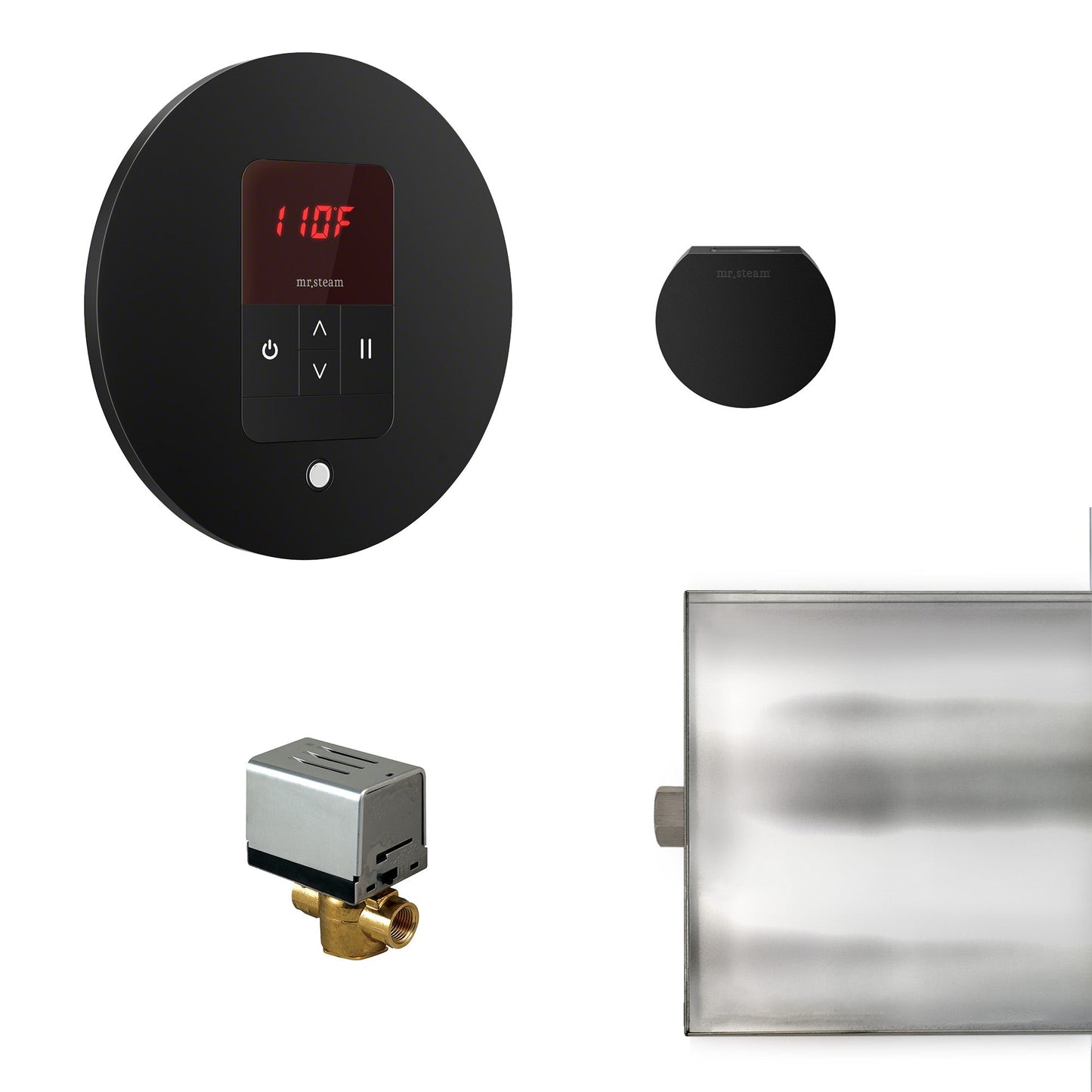 Mr. Steam Basic Butler Steam Shower Control Package with iTempo