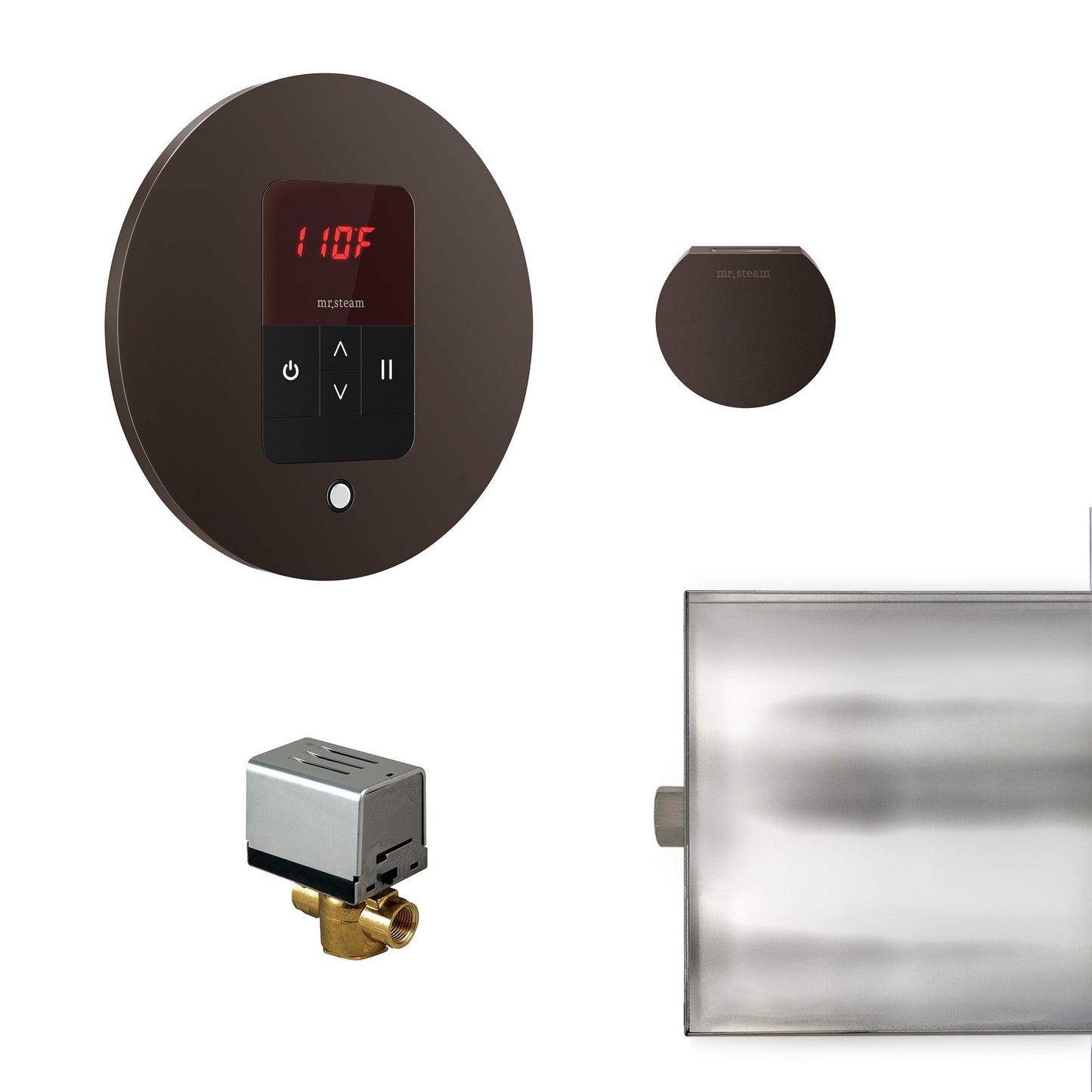 Mr. Steam Basic Butler Steam Shower Control Package with iTempo