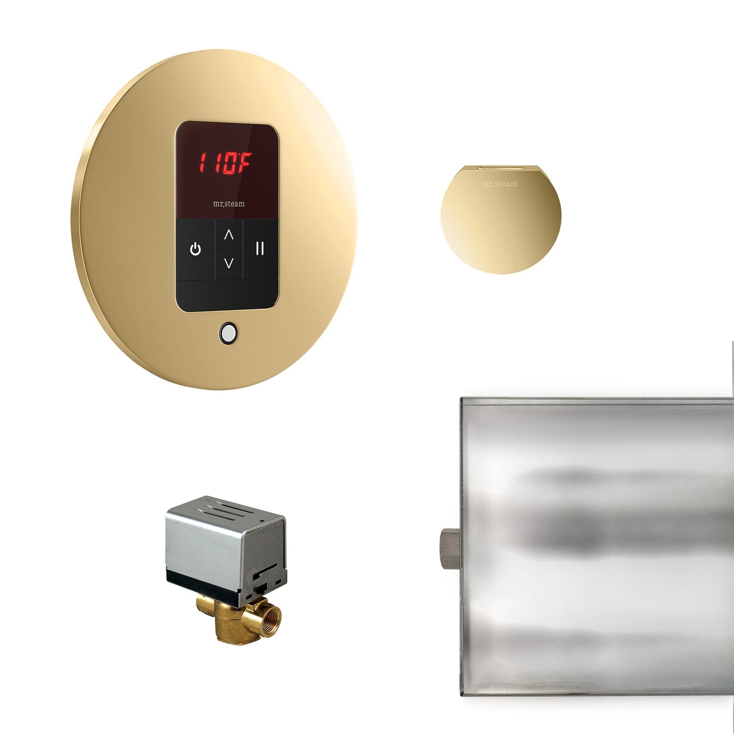 Mr. Steam Basic Butler Steam Shower Control Package with iTempo