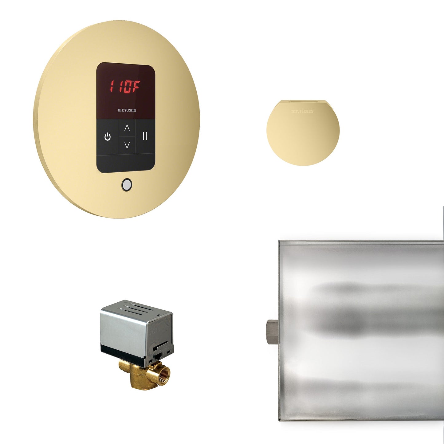 Mr. Steam Basic Butler Steam Shower Control Package with iTempo