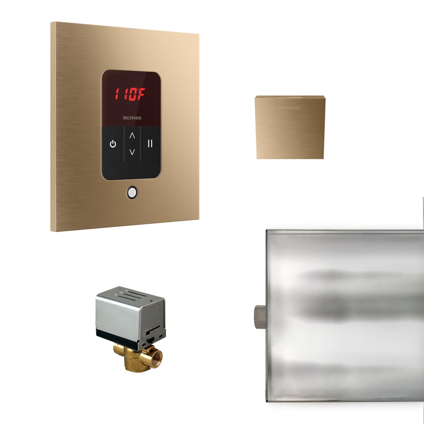 Mr. Steam Basic Butler Steam Shower Control Package with iTempo