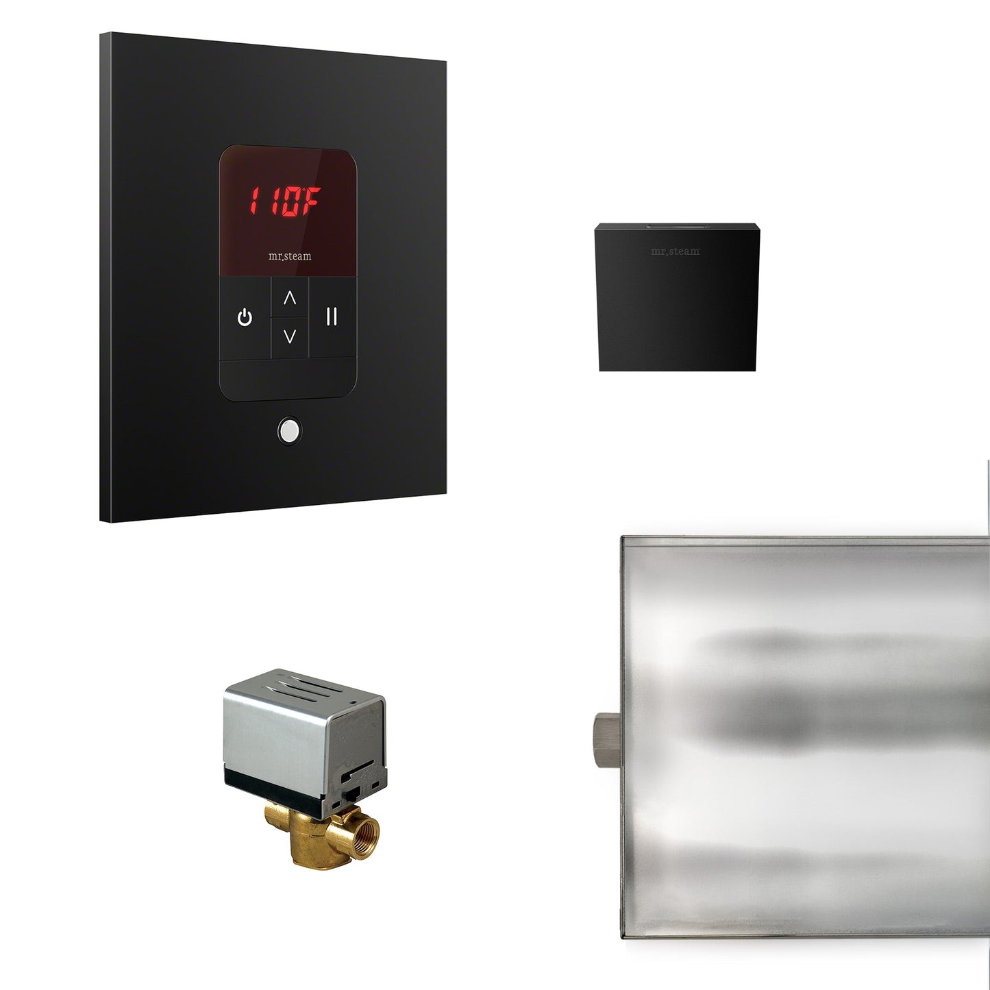 Mr. Steam Basic Butler Steam Shower Control Package with iTempo