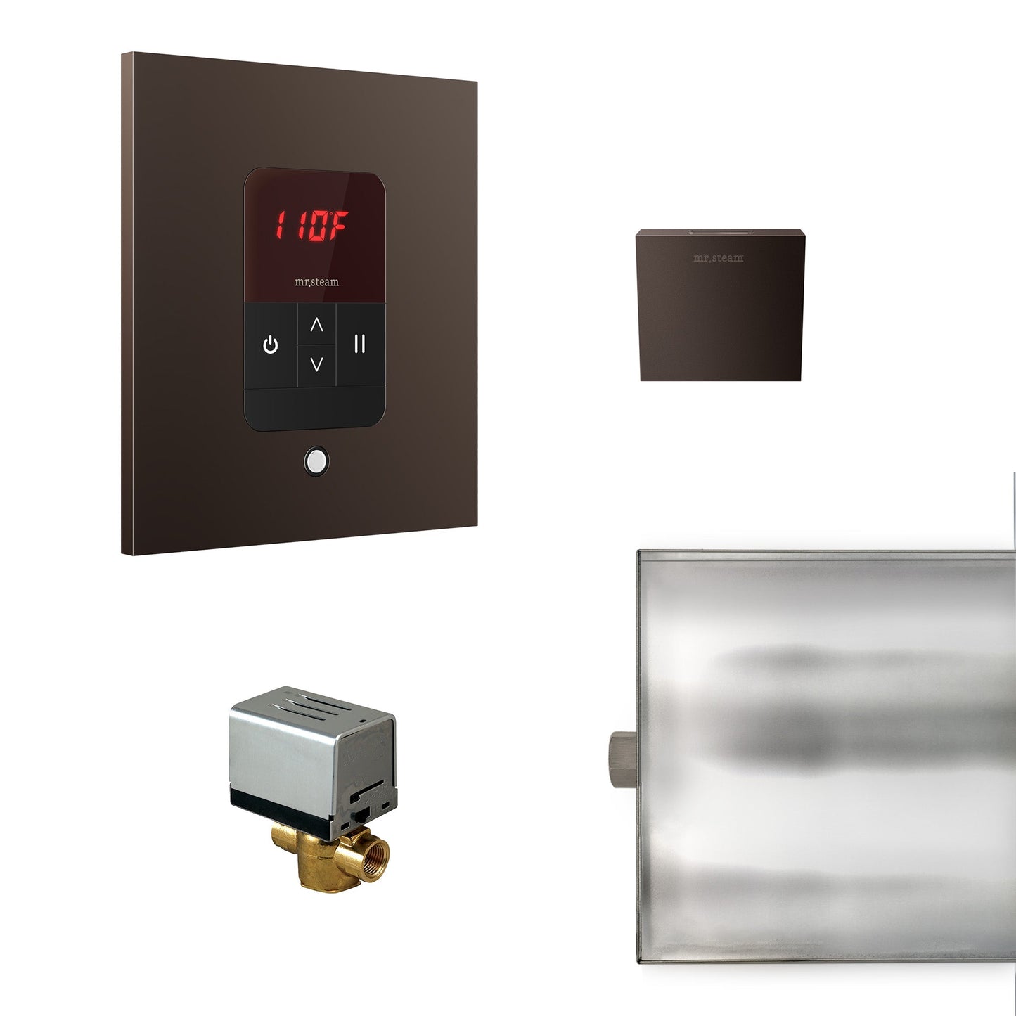 Mr. Steam Basic Butler Steam Shower Control Package with iTempo