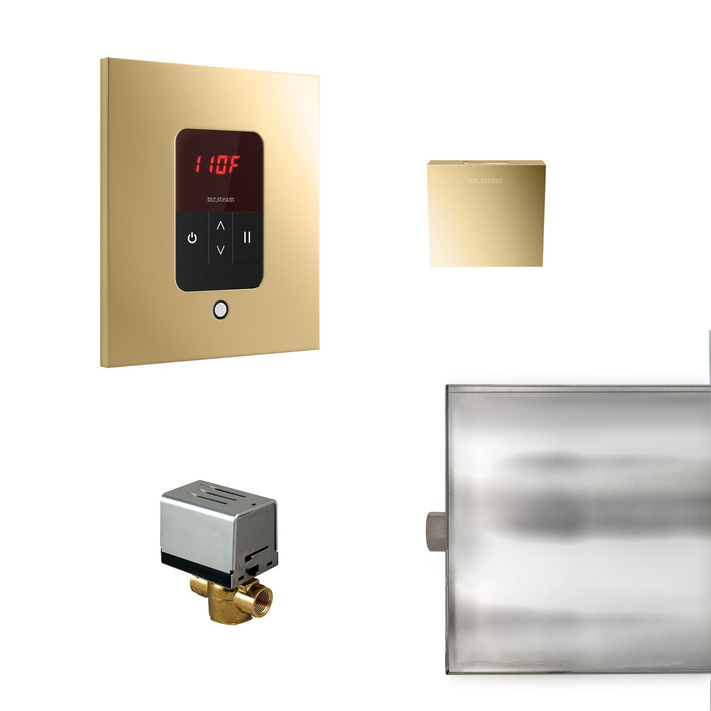 Mr. Steam Basic Butler Steam Shower Control Package with iTempo