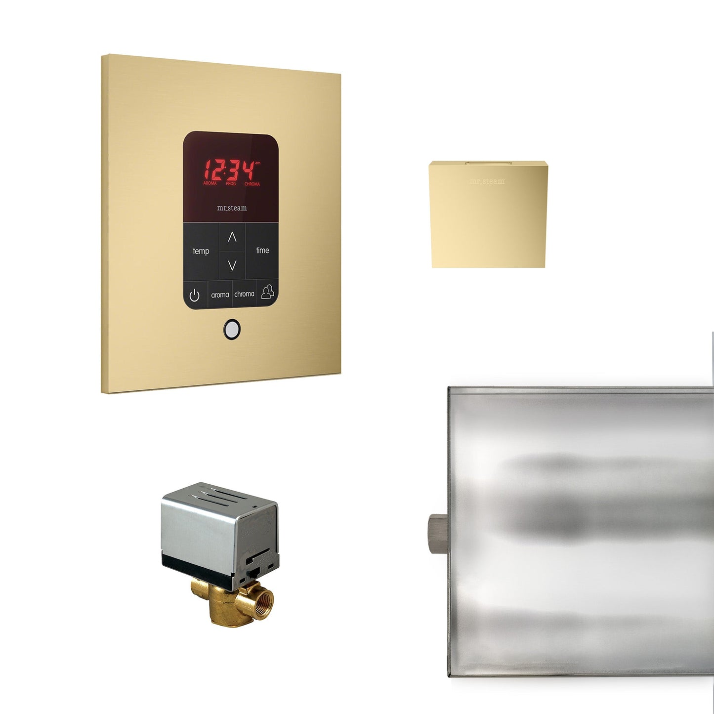 Mr. Steam Basic Butler Steam Shower Control Package with iTempo
