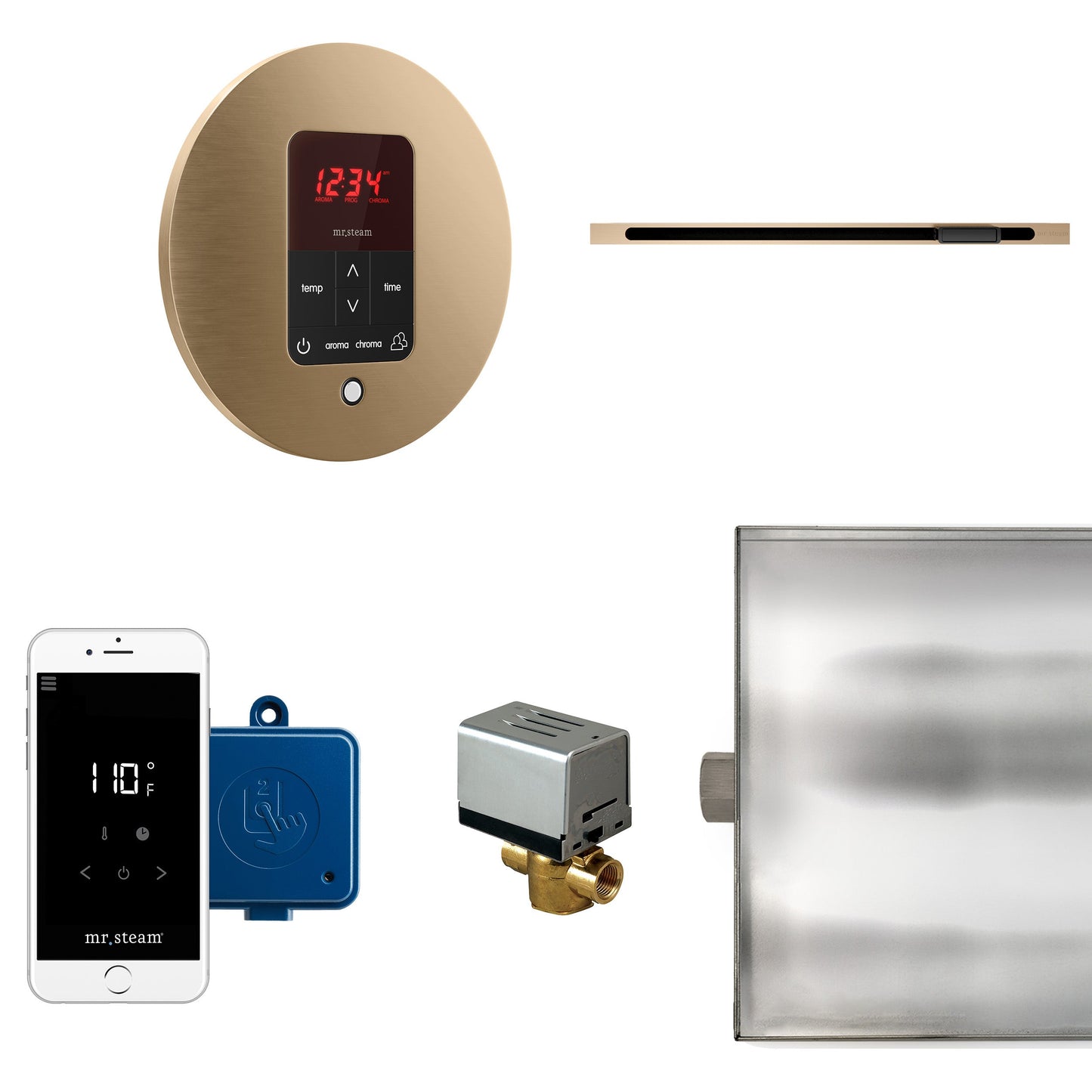 Mr. Steam Butler Steam Shower Control Package with iTempoPlus