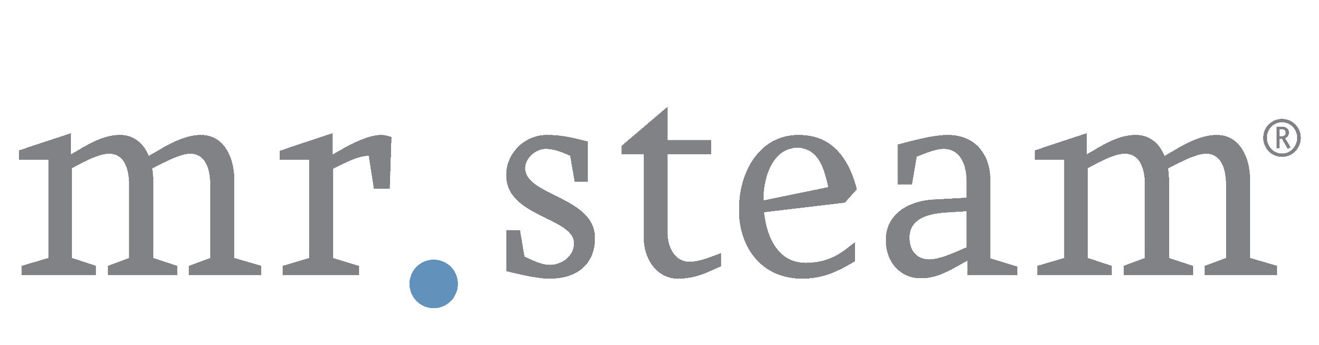 Mr. Steam Logo