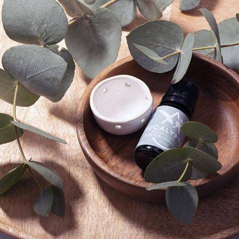 Saunum Aroma Oil Set - Premium Eucalyptus Aromatherapy System for Sauna Enhancement