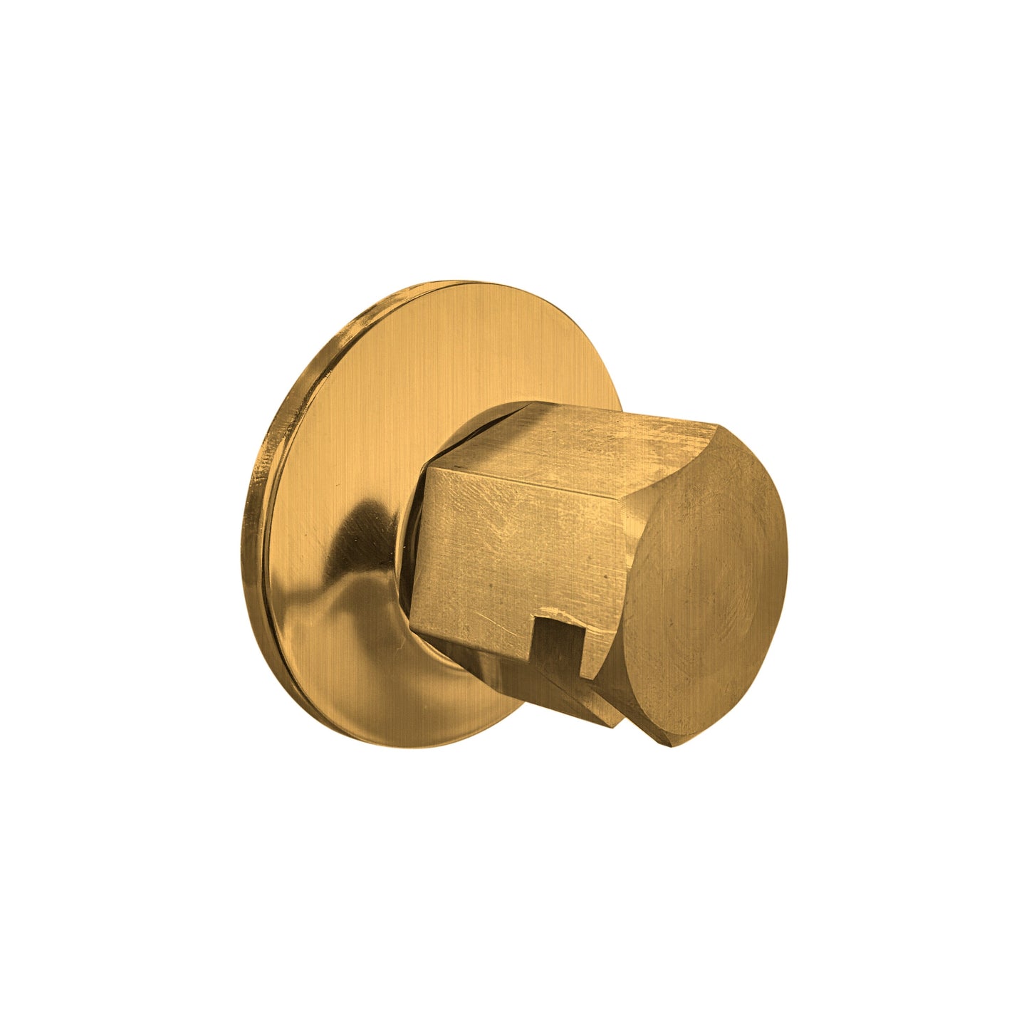 ThermaSol TSS 3/4" NPT Steam Head