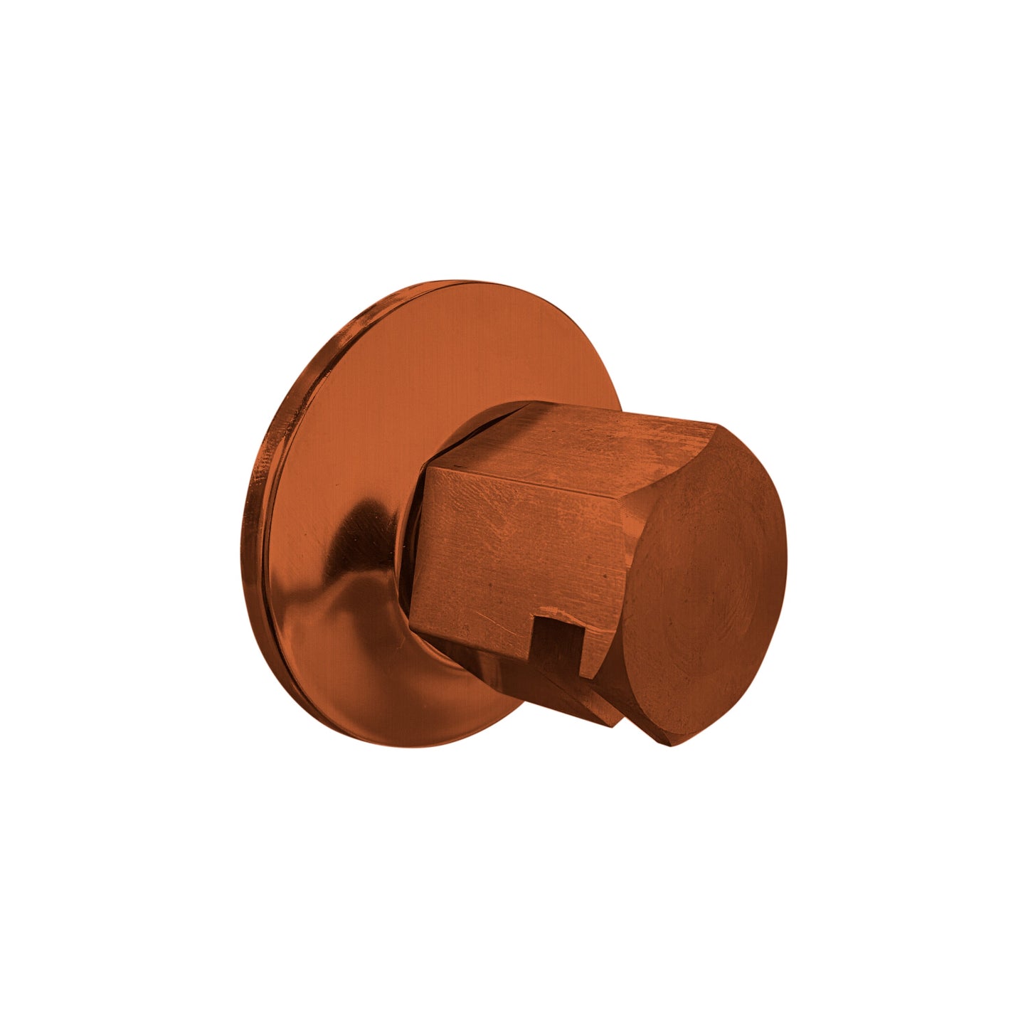 ThermaSol TSS 3/4" NPT Steam Head