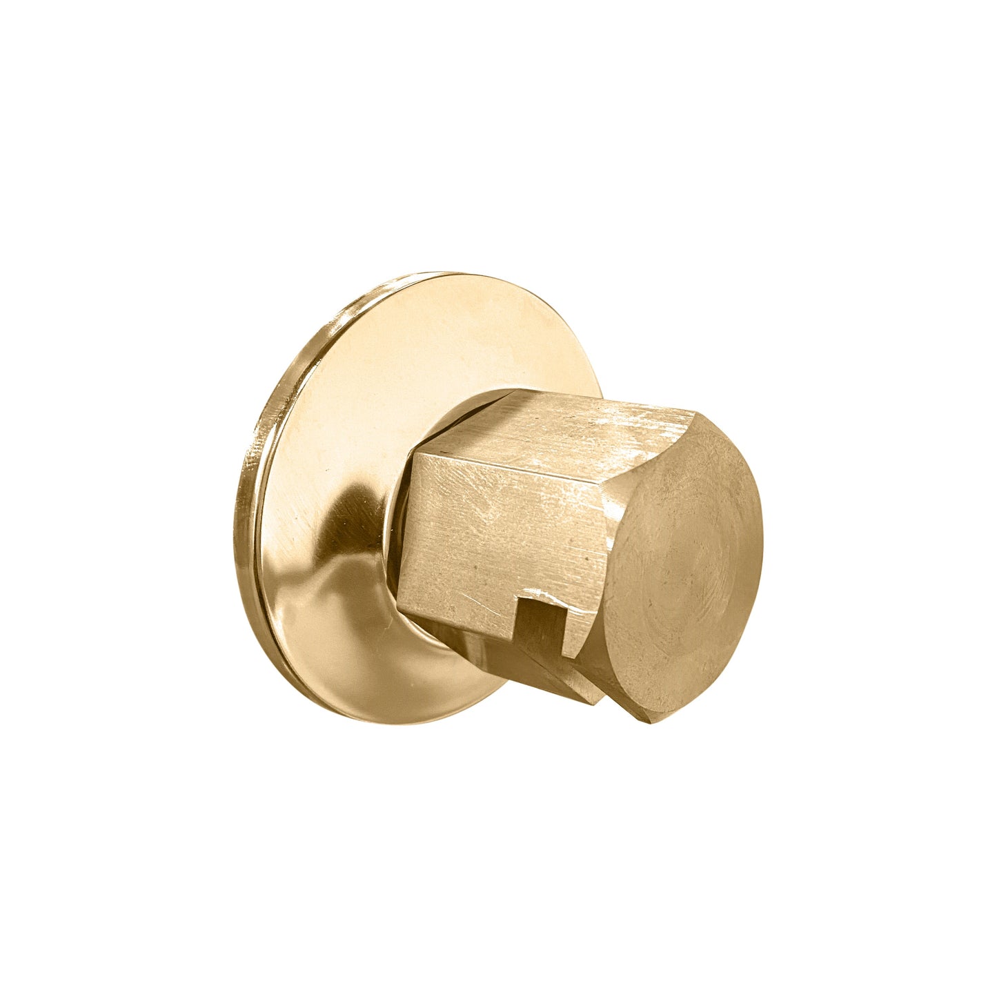 ThermaSol TSS 3/4" NPT Steam Head