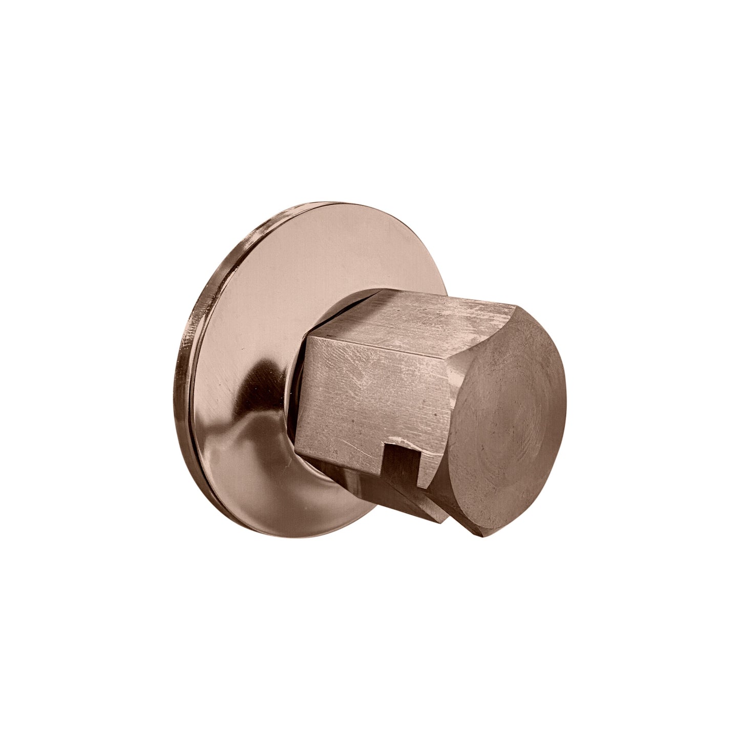 ThermaSol TSS 3/4" NPT Steam Head