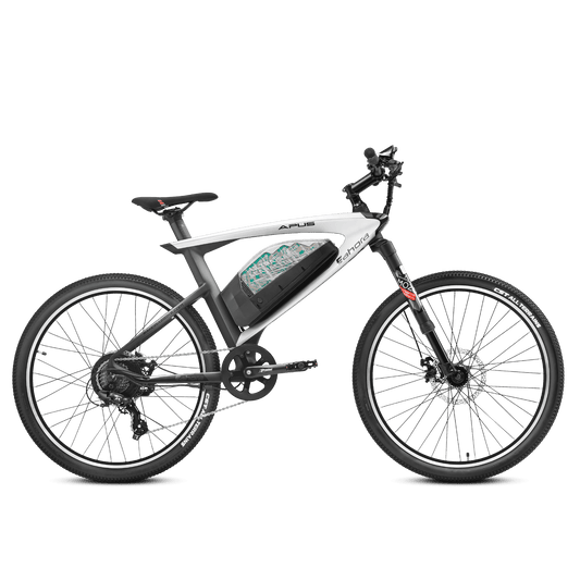 Eahora APUS 2023 E-Bike - Adored Collection