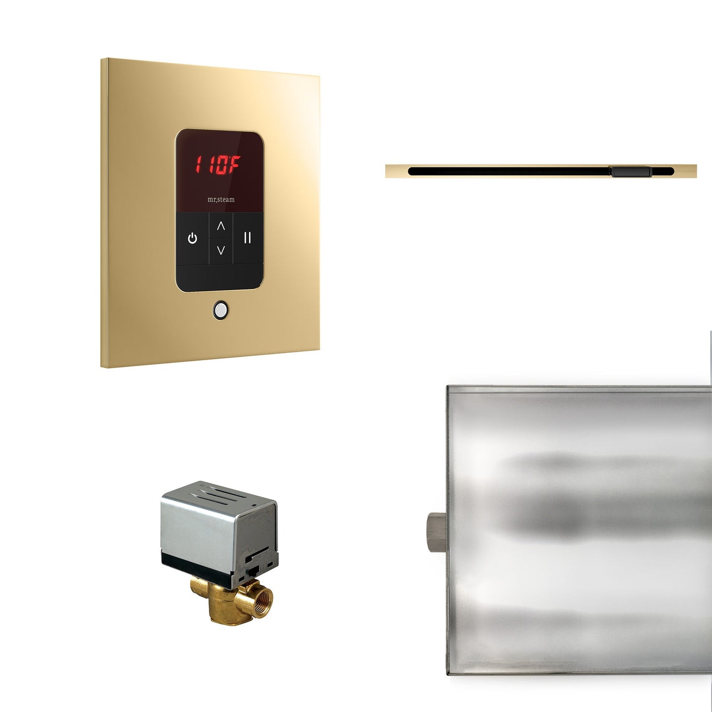 Mr. Steam Basic Butler Steam Shower Control Package with iTempo