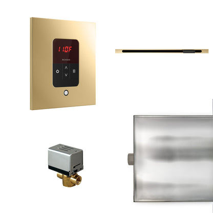 Mr. Steam Basic Butler Steam Shower Control Package with iTempo