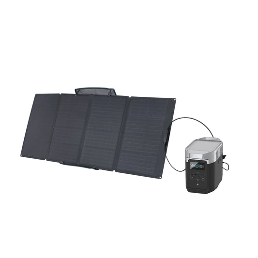 EcoFlow DELTA 2 + 160W Solar Panel