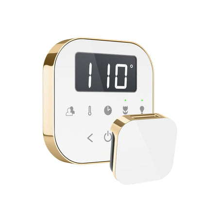 Mr. Steam AirTempo Wireless Steam Shower Control Package