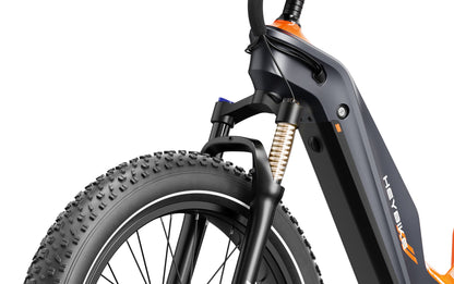 Heybike Hero All Terrain Electric Bike