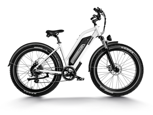 Himiway D3 ST (Cruiser ST) | D3 ST | All Terrain Step Thru Electric Bike