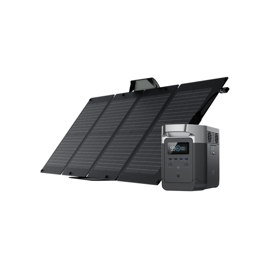 EcoFlow DELTA 1300 + 110W Solar Panel