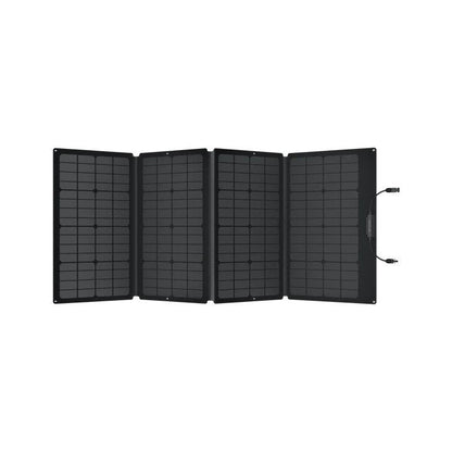 EcoFlow RIVER 2 Max + 1*160W Portable Solar Panel