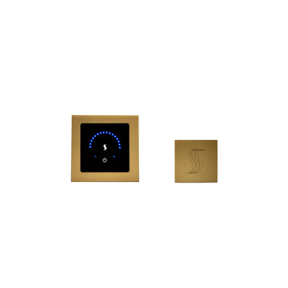 ThermaSol MicroTouch MTMR-SVSQ Square Steam Shower Controller with SteamVection Head