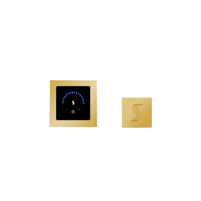 ThermaSol MicroTouch MTMR-SVSQ Square Steam Shower Controller with SteamVection Head